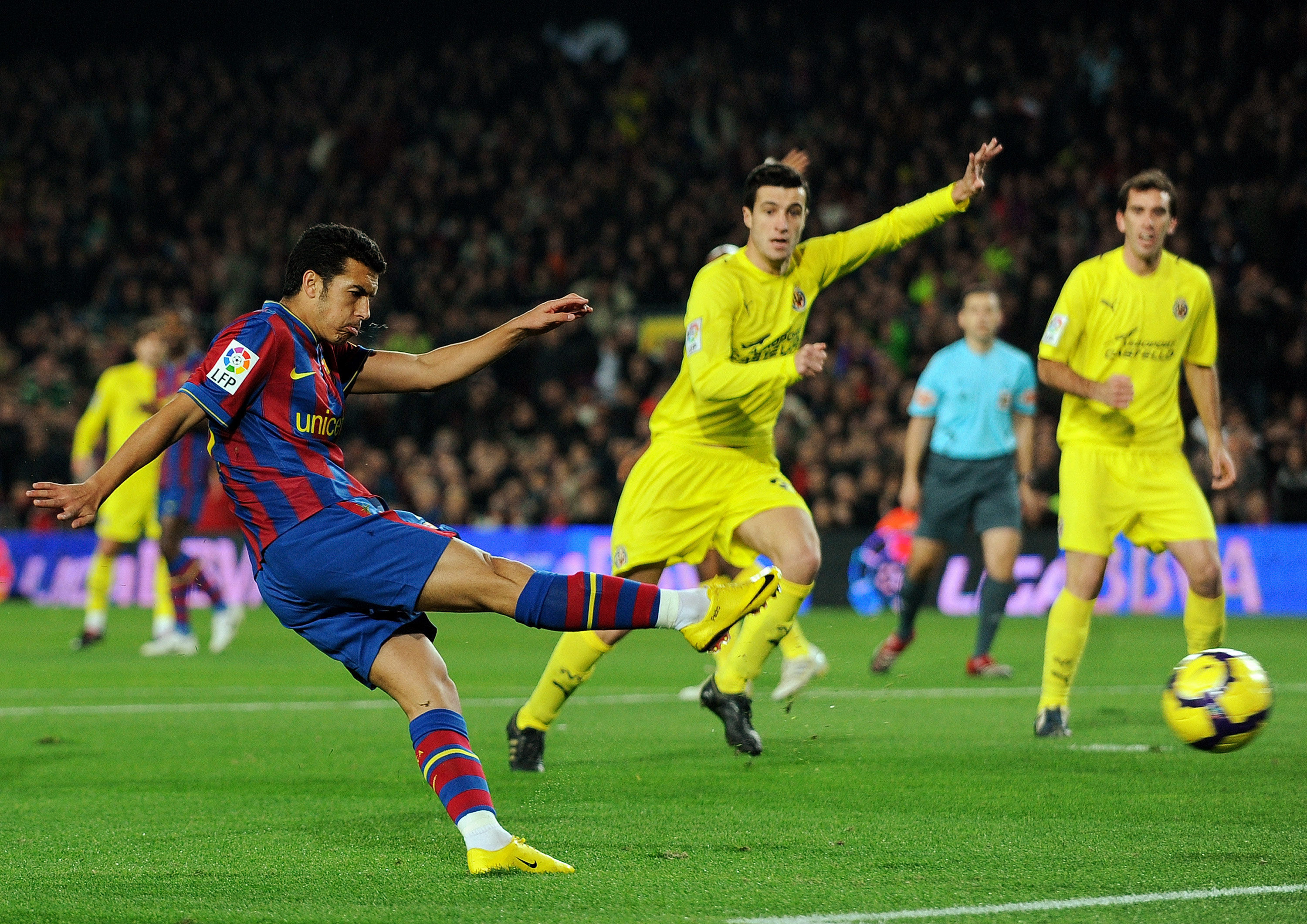 南区的球迷 南区的球迷