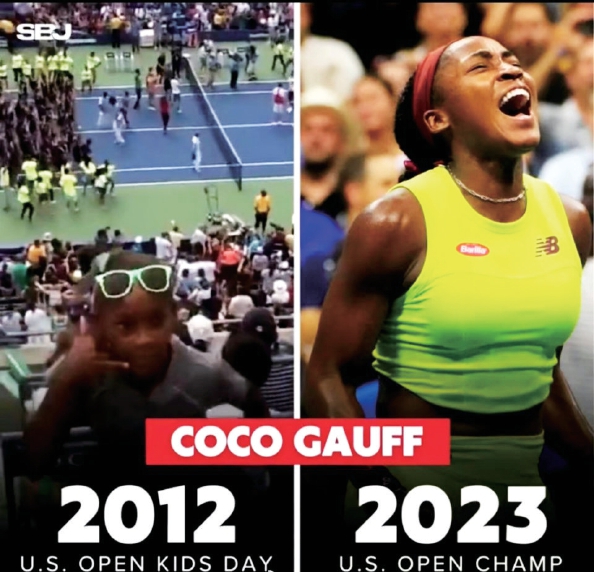 清道夫型 清道夫型