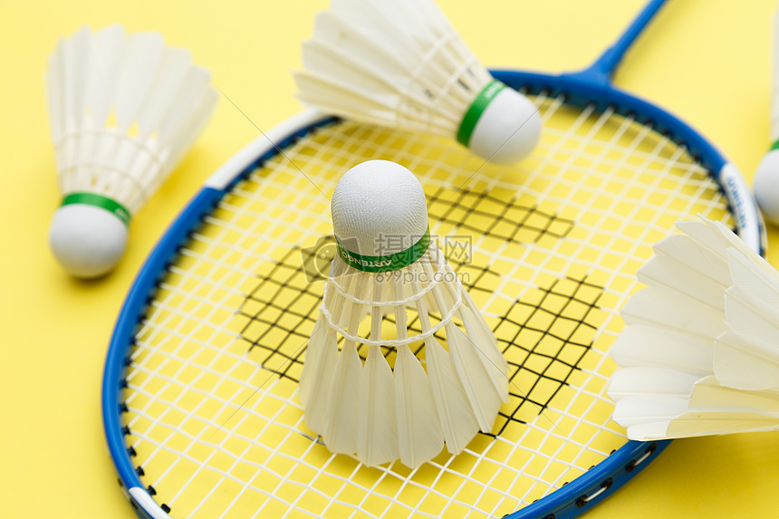 更多的年轻 更多的年轻